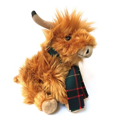 highland coo